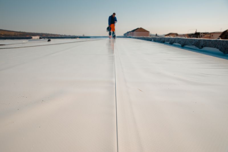 Rubber Roof Service